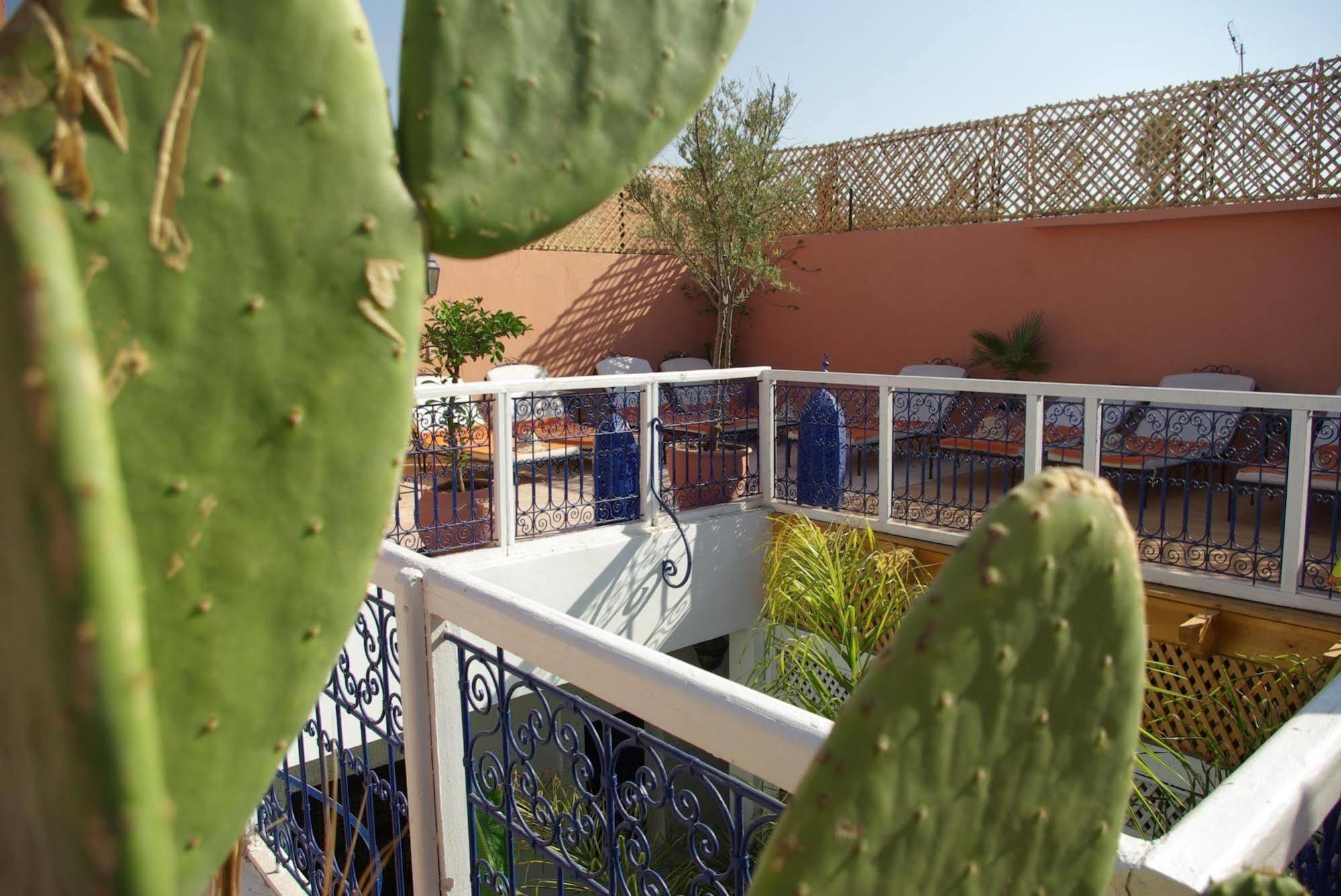 Riad Abaca Badra Marrakesh Luaran gambar